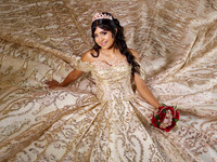 6X8 NORMA ALICIA SOLIS #7358 HBAM4332
