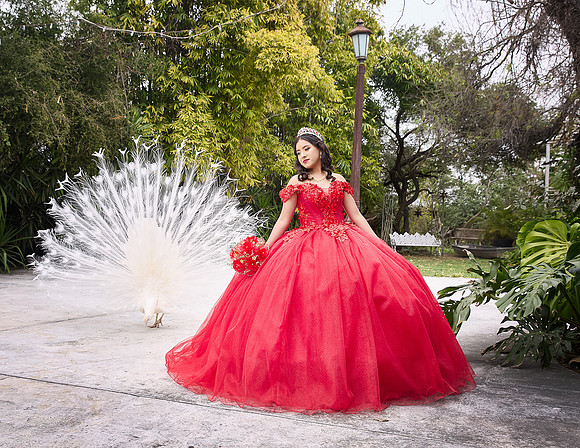 20 FEBRERO #1105 MAYRA ALEJANDRA GALVANESQL9400