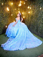 #8127 LAURA MUÑIZ XV (FORMAL BENJI)AADR0037