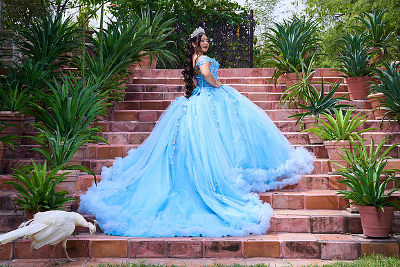 26 AGOSTO 2025 .-REYNA MUÑOZ #6061 (RAFA -MARIANA)_MG_1523