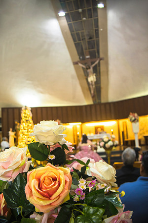 _MG_2501
