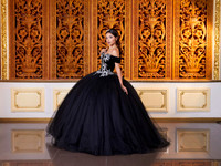 #8117 ROSA AURORA (POTENCIANO)AADR3461 copia