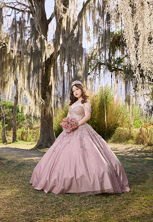 25 FEBRERO #1197 JOSEFINA CRISTAL ESQL7738