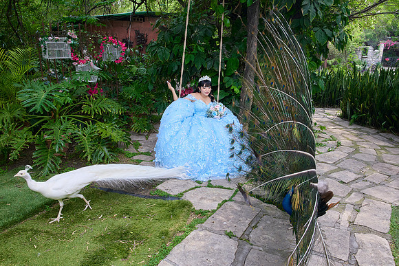 29 ABRIL 2026 .- JUANITA GPE #2962 (RAFA) _RDM9647