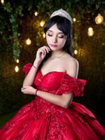 #8401 NORA ALICIA MARTINEZ ESQL4773