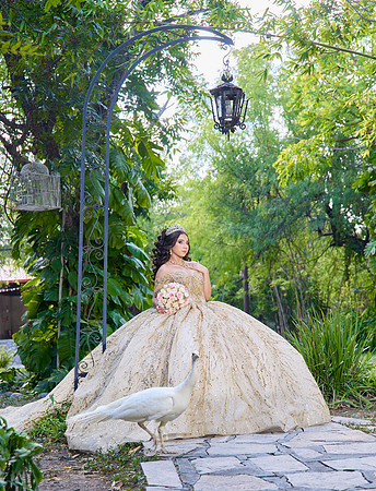 28 AGOSTO 2026 .-EVELYN ALVIZO #1312 (RAFA)_RDM3251