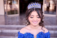 225A1376