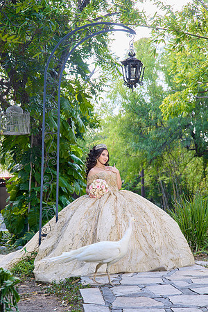 28 AGOSTO 2026 .-EVELYN ALVIZO #1312 (RAFA)_RDM3252
