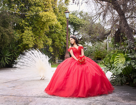 20 FEBRERO #1105 MAYRA ALEJANDRA GALVANESQL9392