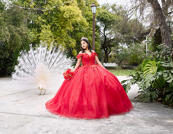 20 FEBRERO #1105 MAYRA ALEJANDRA GALVANESQL9398