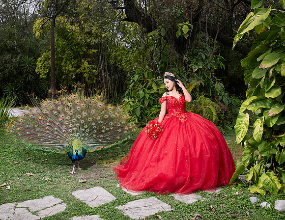 20 FEBRERO #1105 MAYRA ALEJANDRA GALVANESQL9376