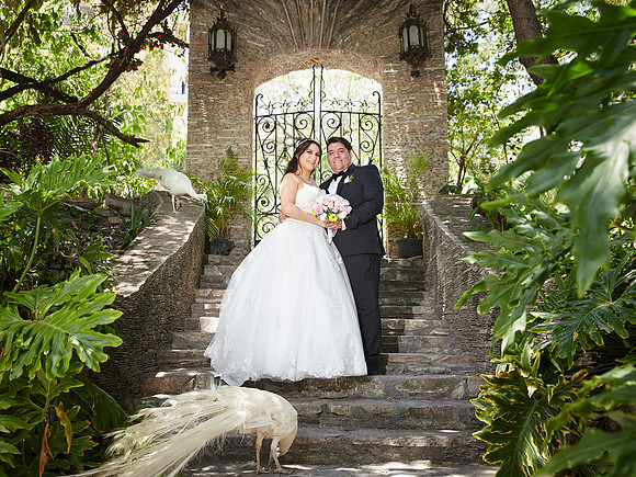 17 JULIO 2023 EDGARDO CANTU #6522 (RAFA) IMG_0804