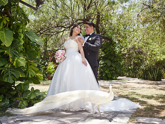 17 JULIO 2023 EDGARDO CANTU #6522 (RAFA) IMG_0954