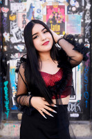 _ADR4270