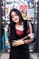 _ADR4272