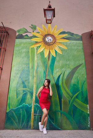 _ADR8190