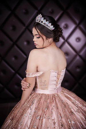 _ADR8358