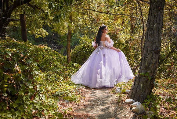 _ADR1164