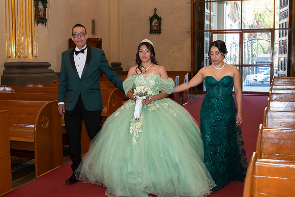 _JSS8677