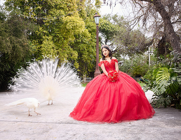 20 FEBRERO #1105 MAYRA ALEJANDRA GALVANESQL9396