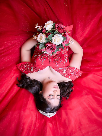 ERIKA LLAMAS #6459--AADR1153