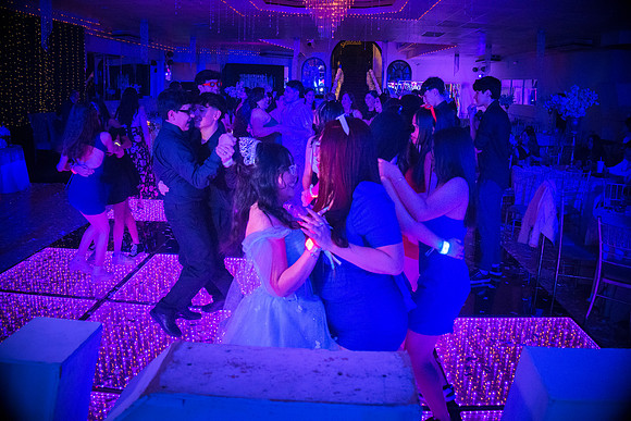 _MG_4594