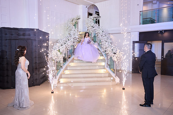 225A3713