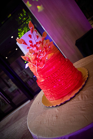 _MG_0567