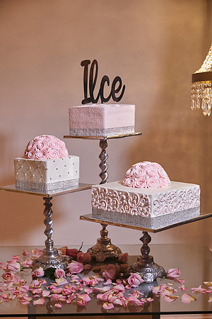 ILCE_29A8717