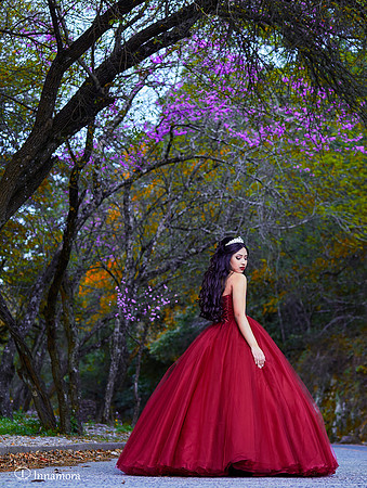 15  FEBRERO 2019 MARIA HERLINDA MANCILLAS 3457_MG_6586