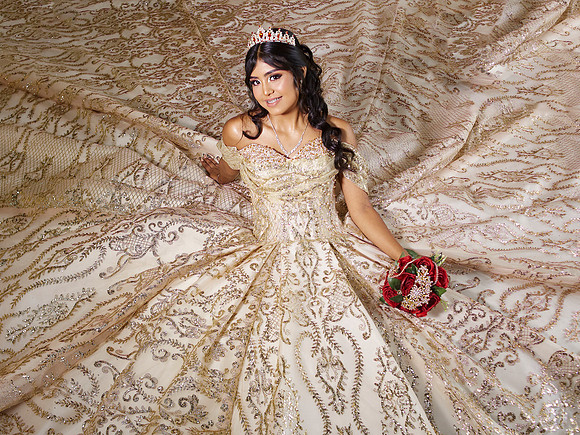 6X8 NORMA ALICIA SOLIS #7358 HBAM4330
