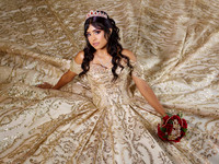 6X8 NORMA ALICIA SOLIS #7358 HBAM4337