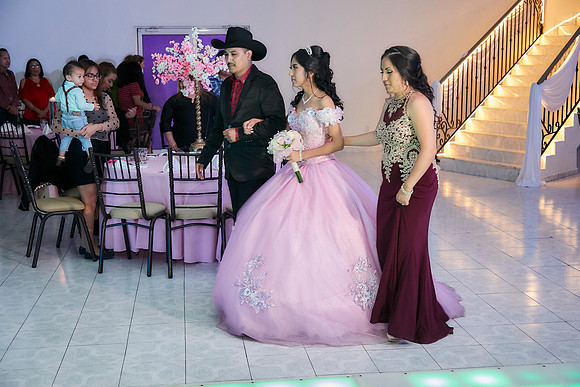 XV ANAIS_29A5779